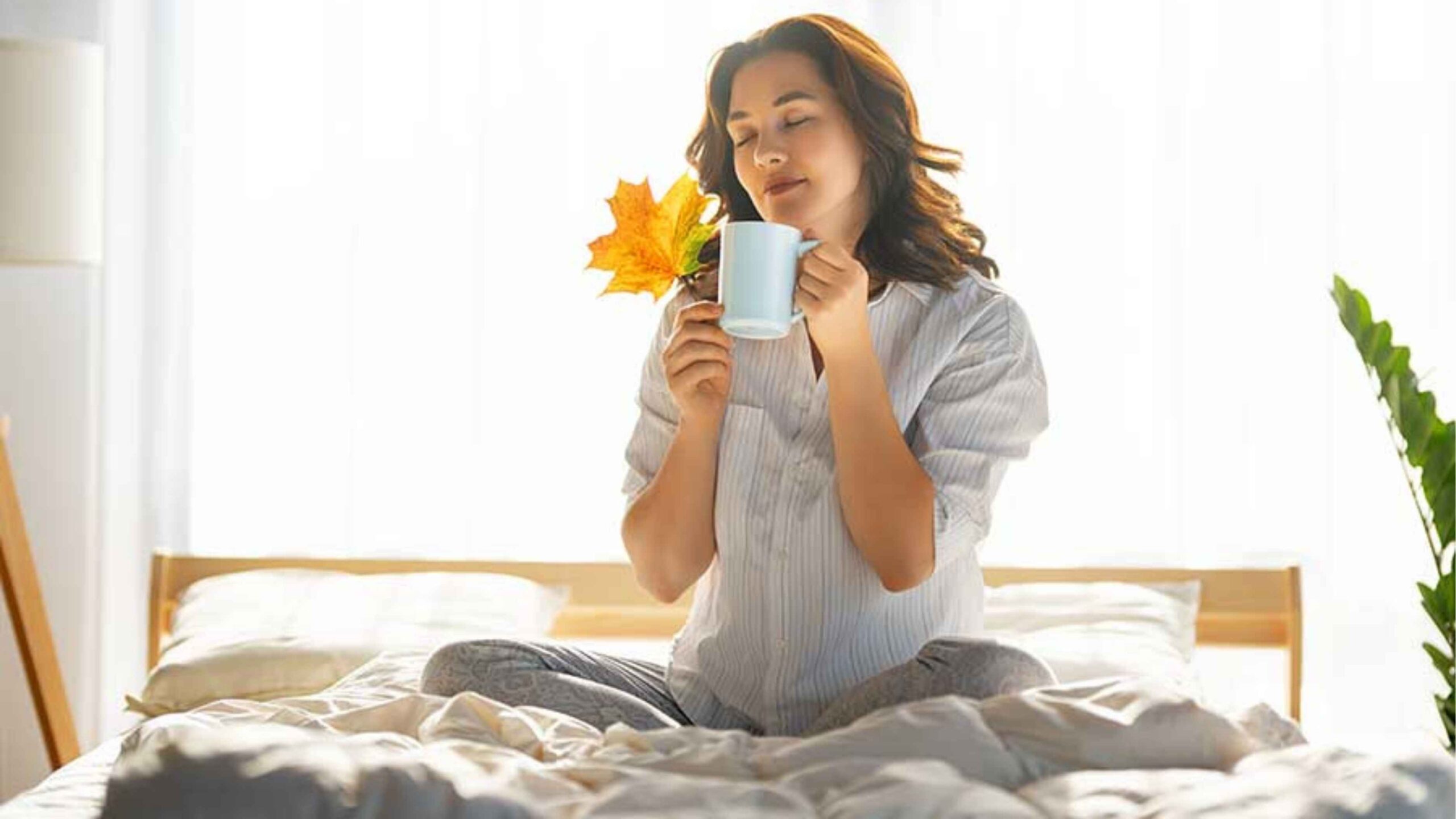Mindful Morning Routine: Bikin Pagi Lebih Terarah, Hidup Makin Produktif