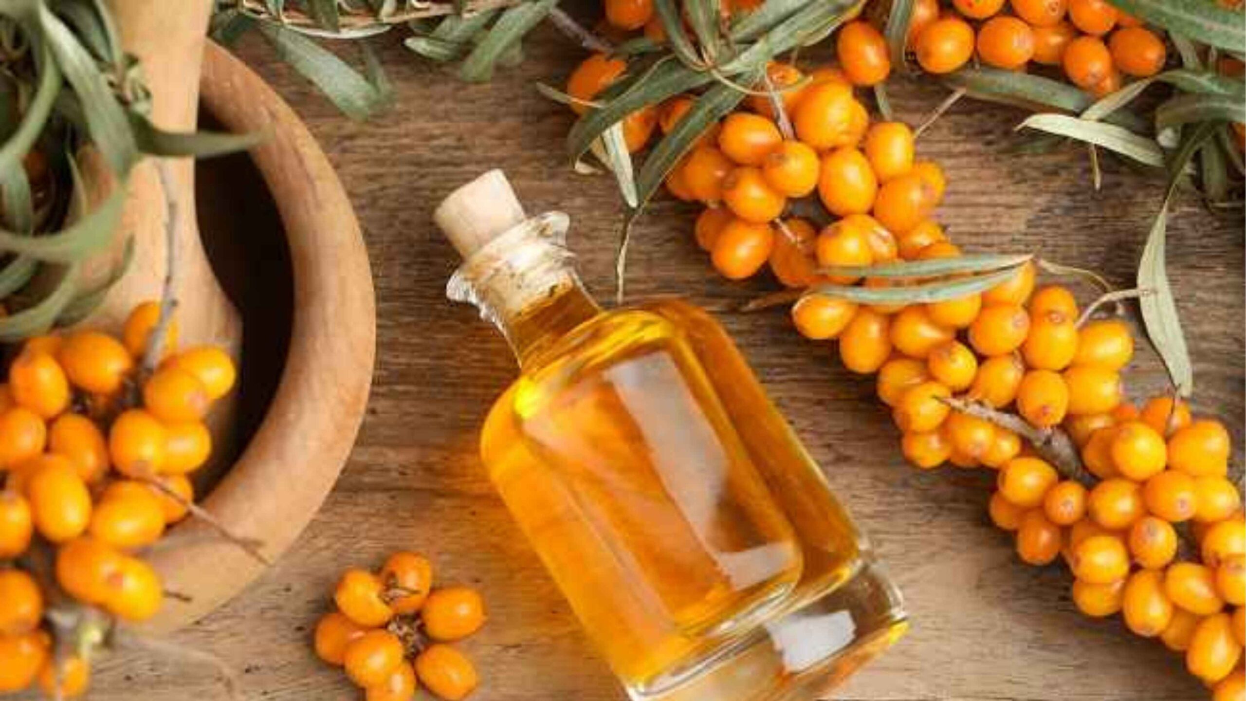 Manfaat Dahsyat Sea Buckthorn